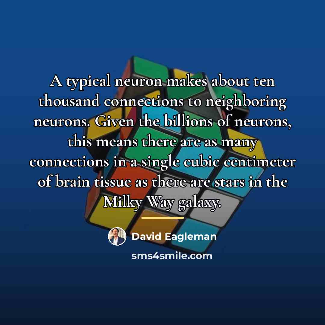 “A typical neuron makes about ten thousand connections to neighboring…” quote by David Eagleman