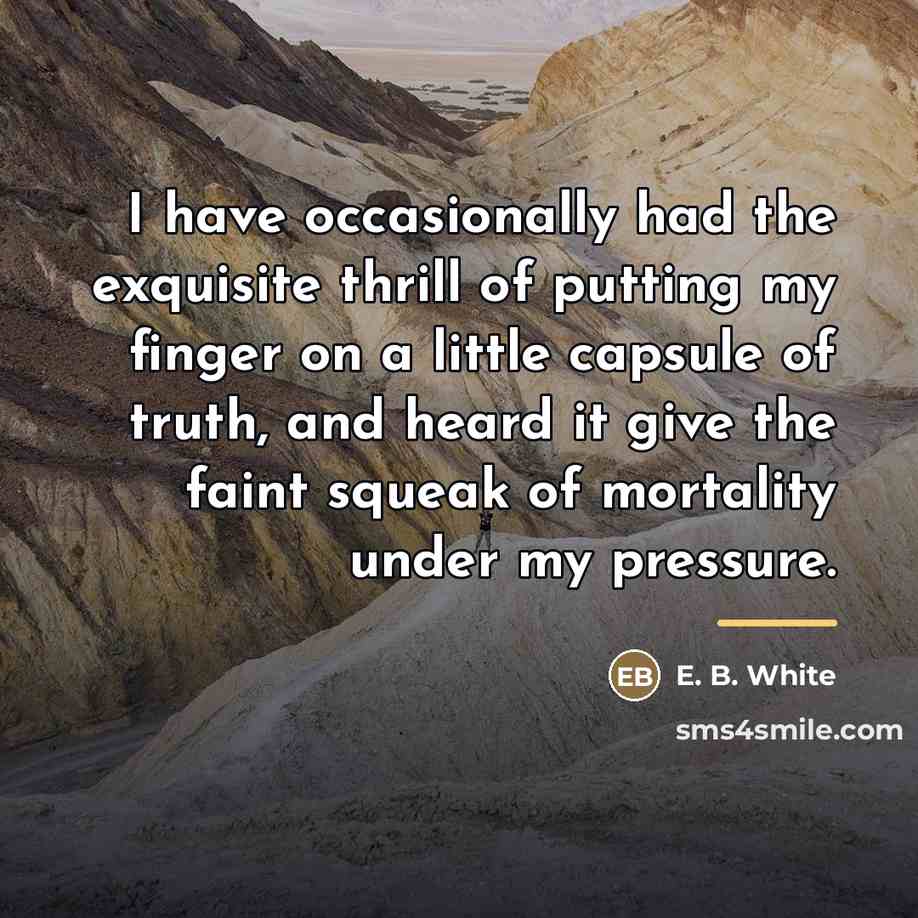 “I have occasionally had the exquisite thrill of putting my…” quote by E. B. White