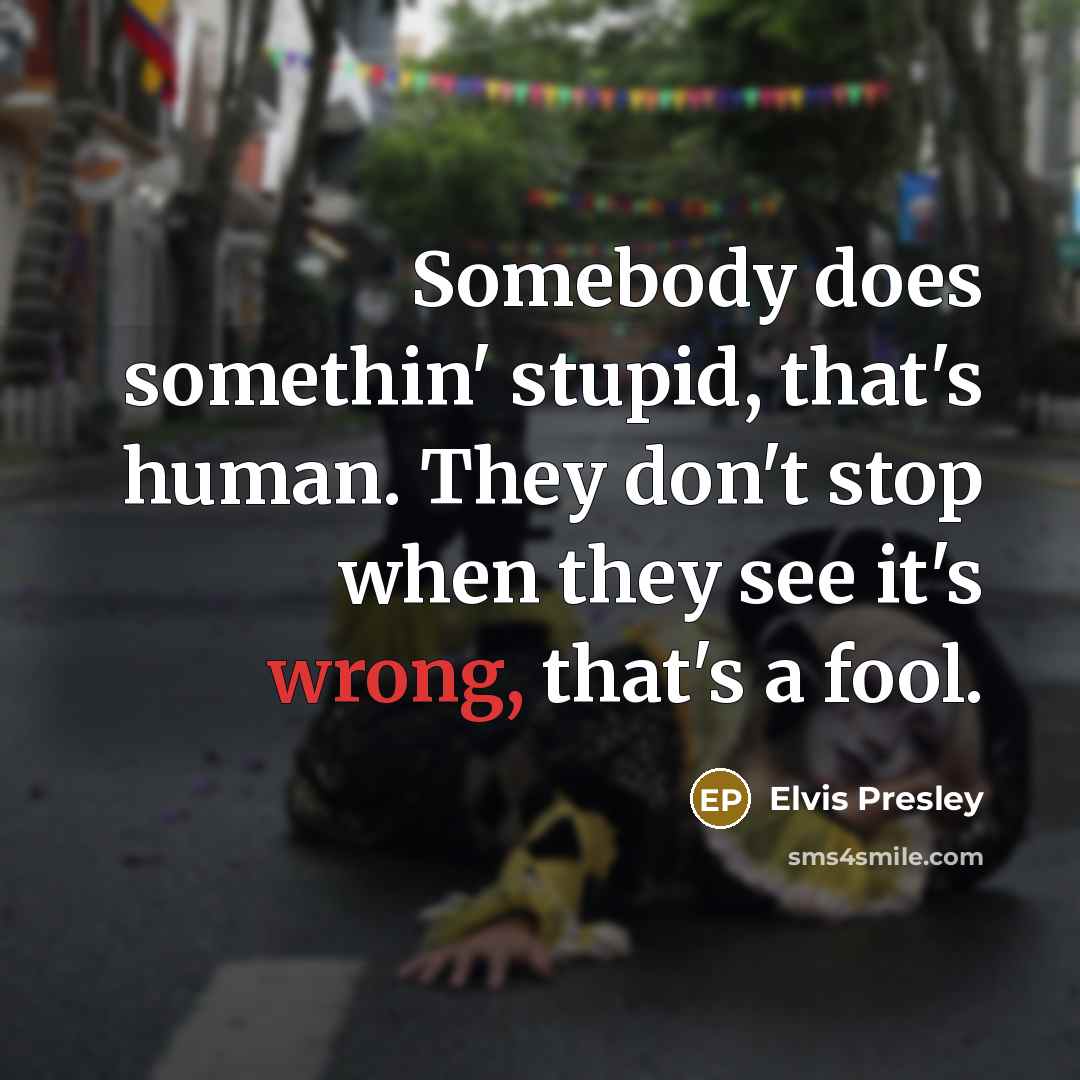 “Somebody does somethin' stupid, that's human. They don't stop when…” quote by Elvis Presley