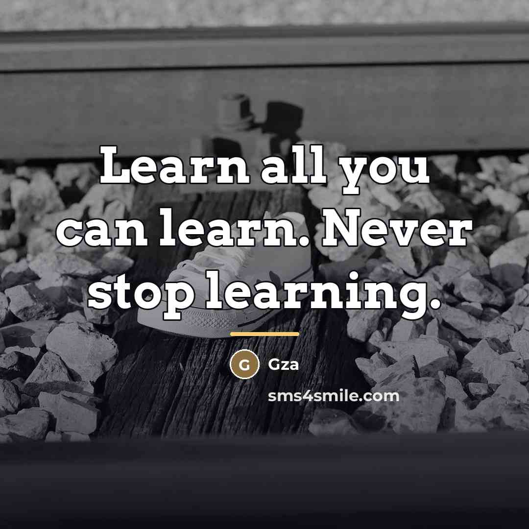 “Learn all you can learn. Never stop learning.…” quote by Gza