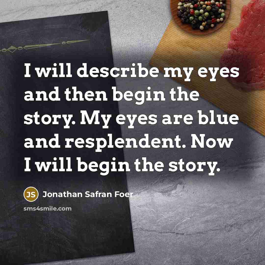 “I will describe my eyes and then begin the story.…” quote by Jonathan Safran Foer