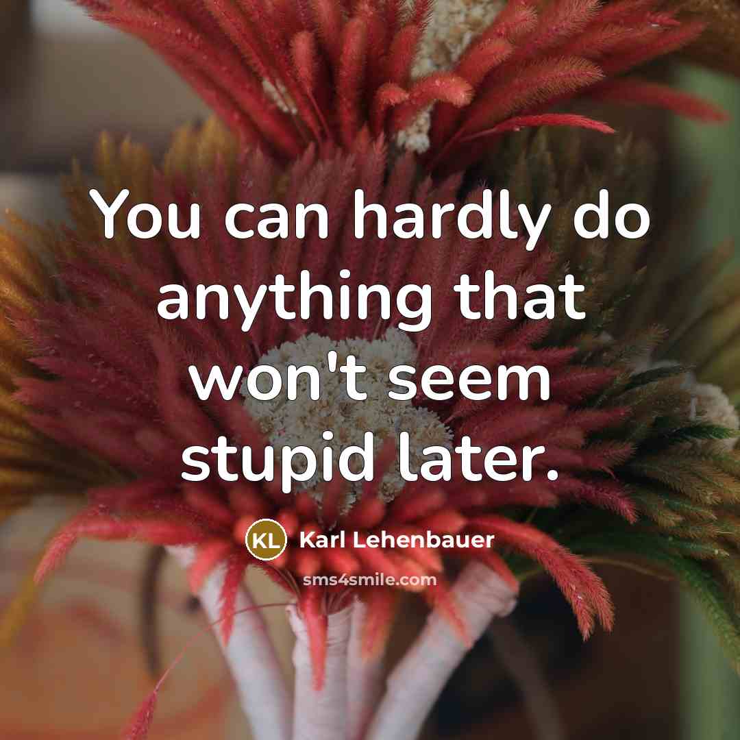 “You can hardly do anything that won't seem stupid later.…” quote by Karl Lehenbauer