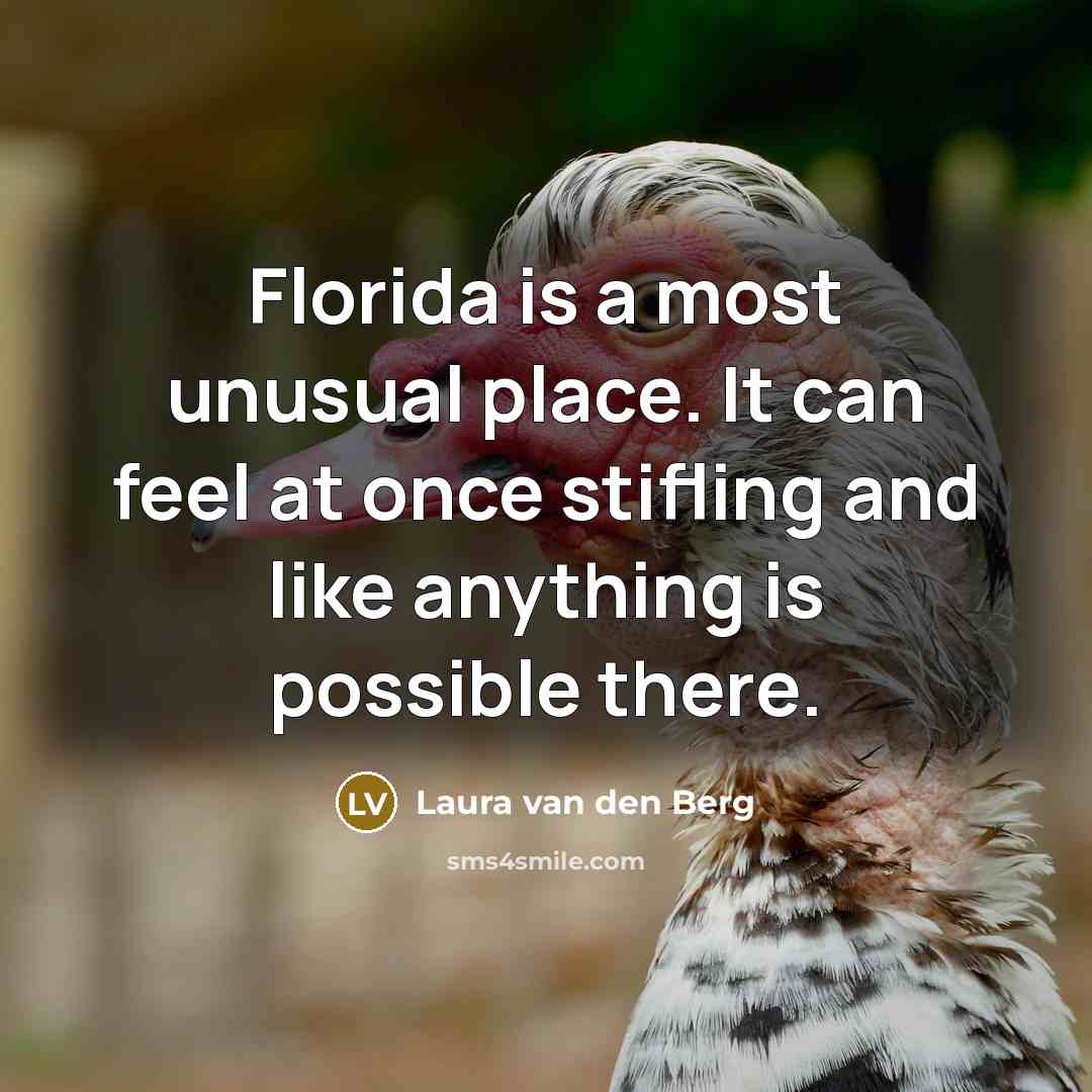 “Florida is a most unusual place. It can feel at…” quote by Laura van den Berg