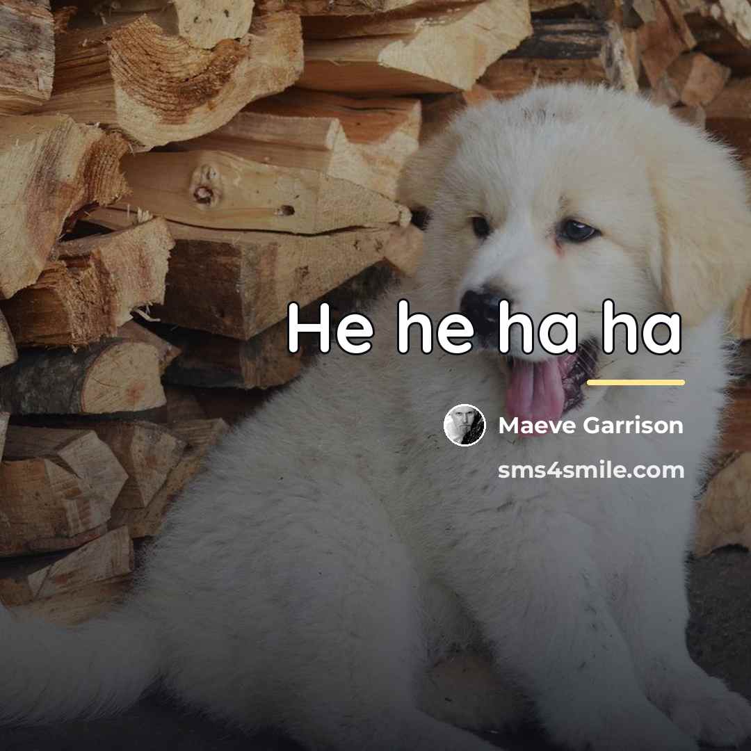 “He he ha ha…” quote by Maeve Garrison