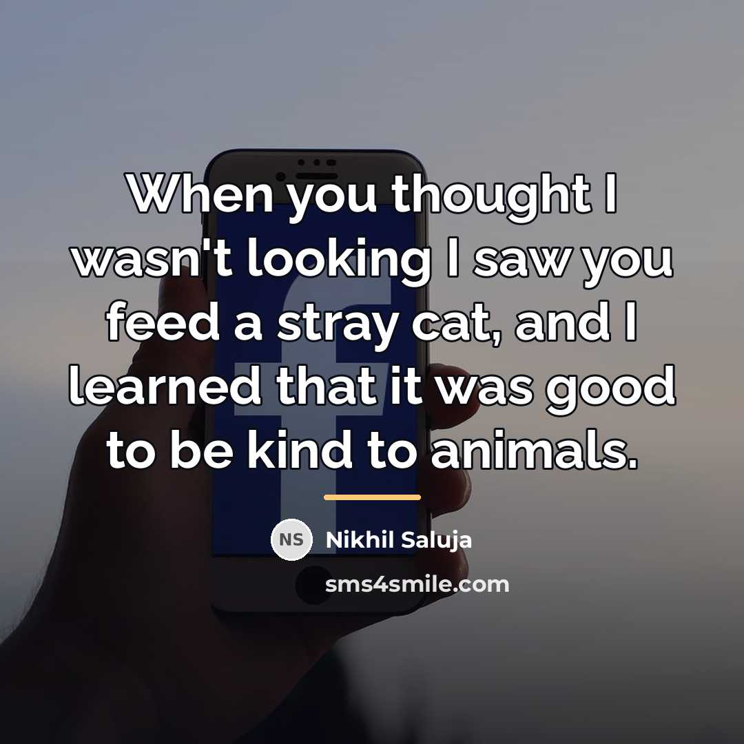 “When you thought I wasn't looking I saw you feed…” quote by Nikhil Saluja
