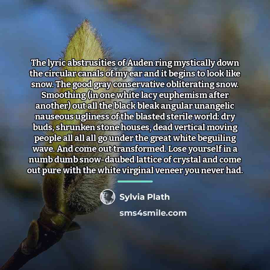 “The lyric abstrusities of Auden ring mystically down the circular…” quote by Sylvia Plath