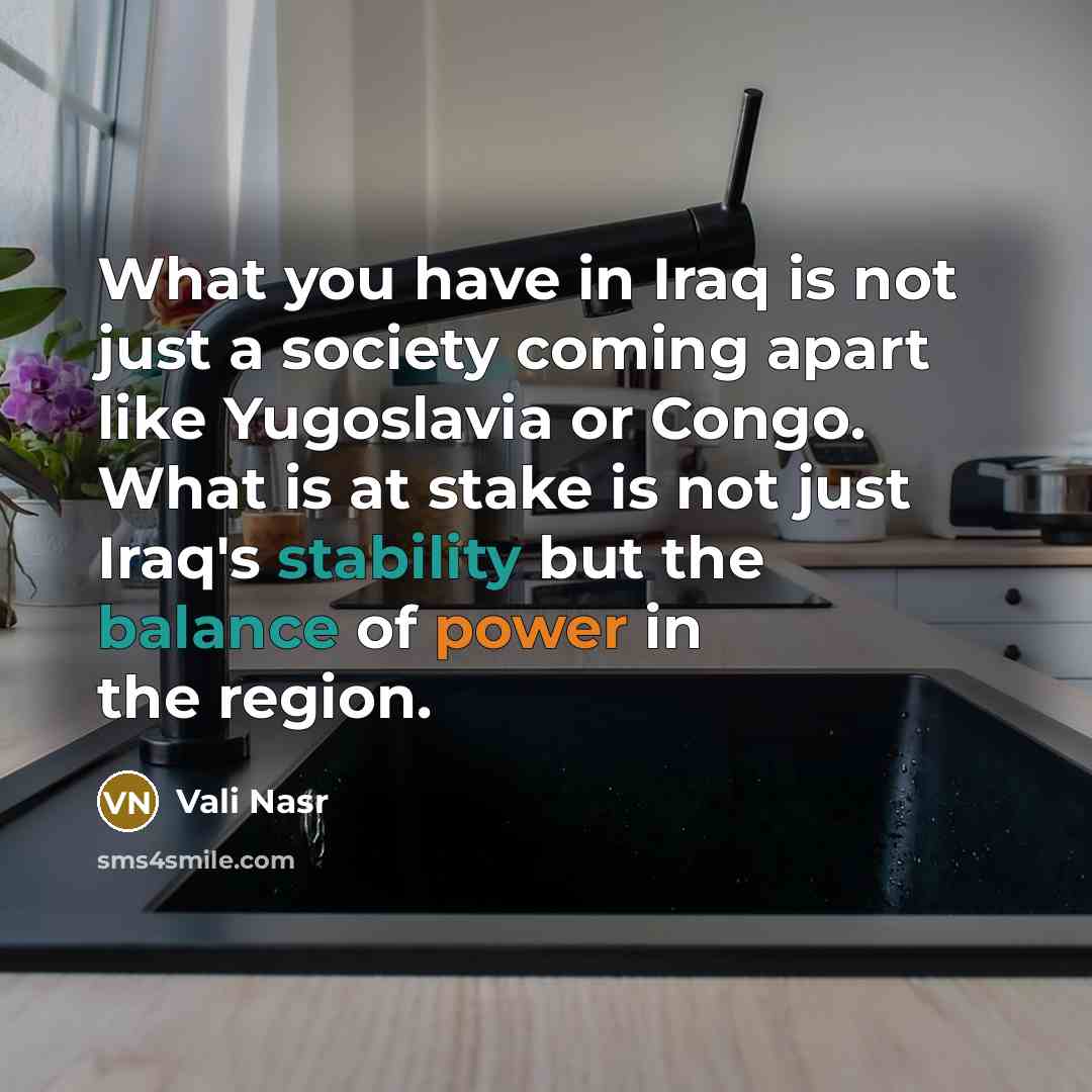 “What you have in Iraq is not just a society…” quote by Vali Nasr