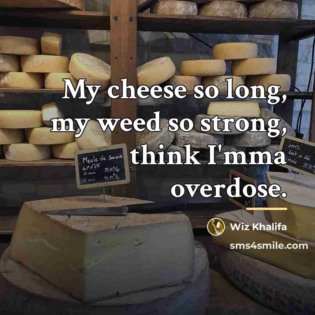 “My cheese so long, my weed so strong, think I'mma…” quote by Wiz Khalifa