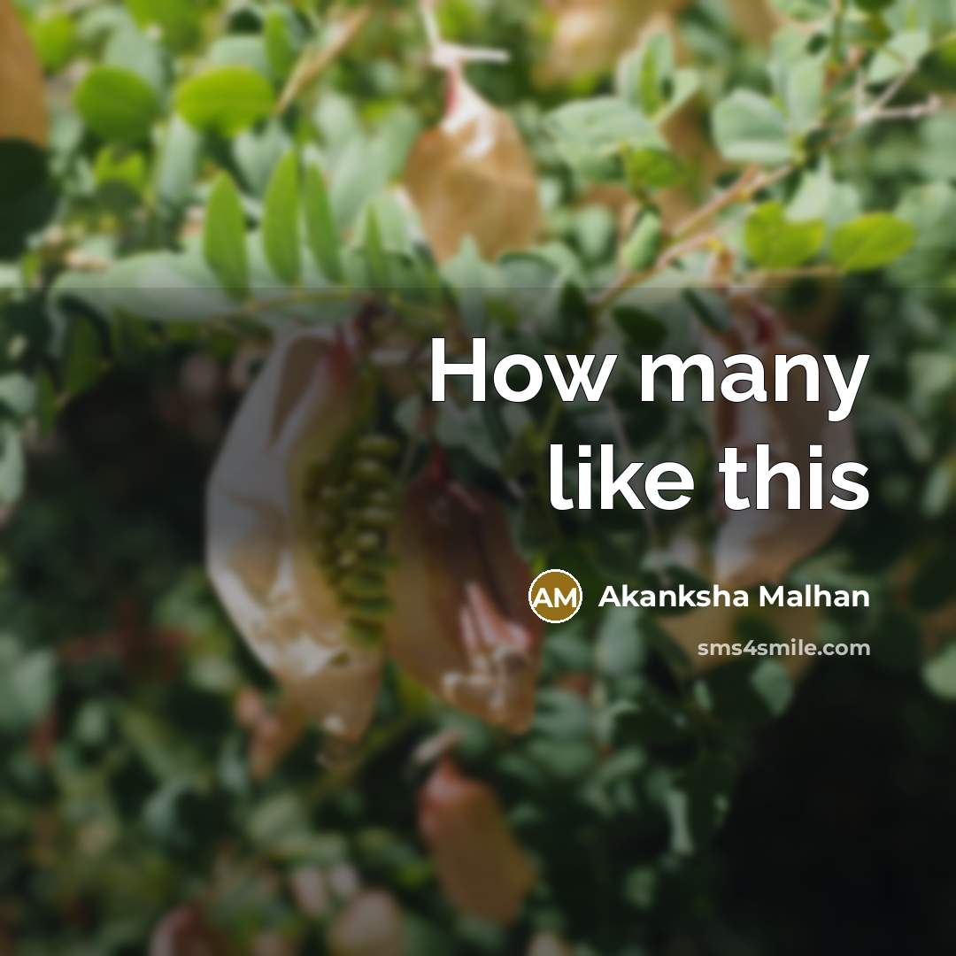 “How many like this” quote by Akanksha Malhan