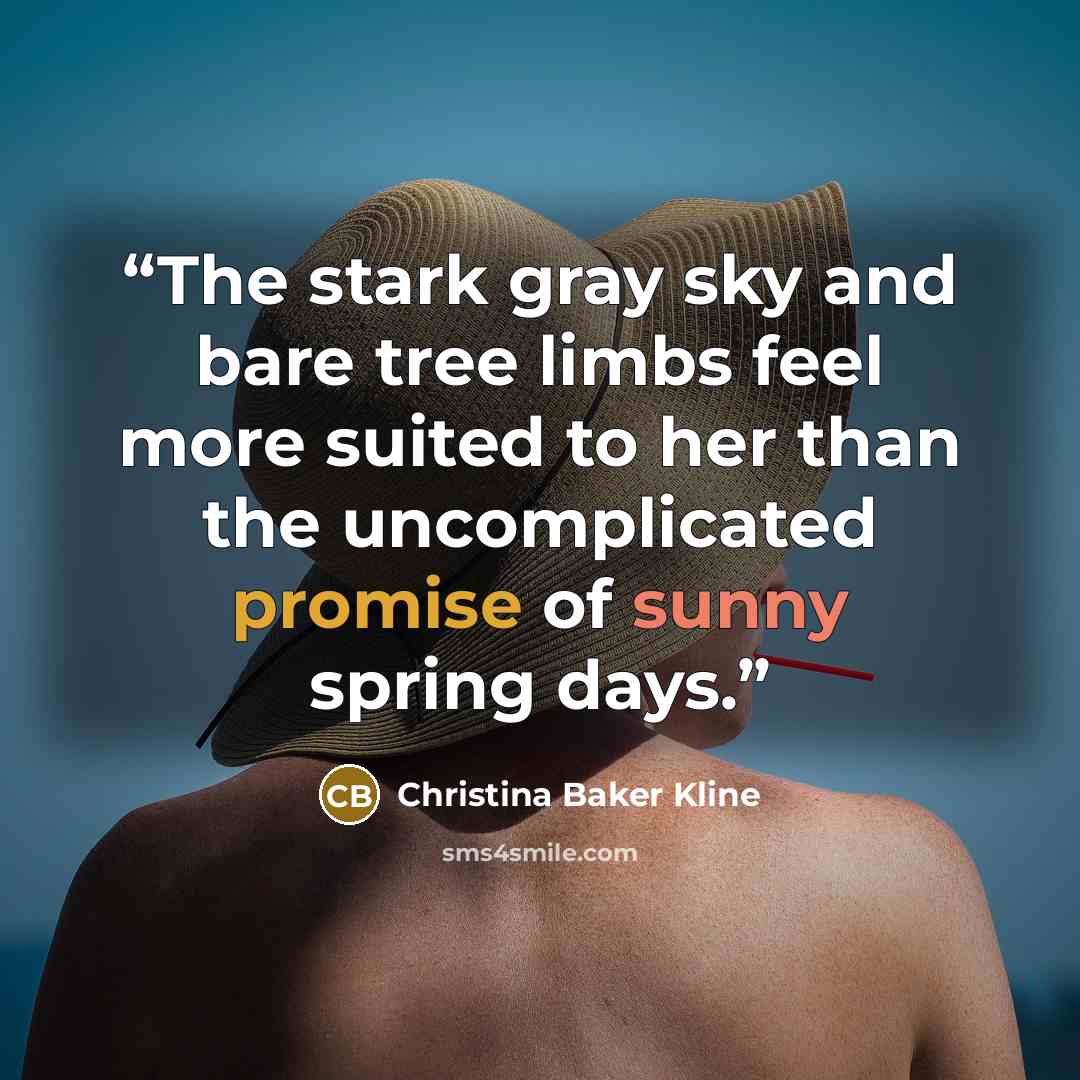 “The stark gray sky and bare tree limbs feel more suited to her than the uncomplicated promise of sunny spring days.” quote by Christina Baker Kline