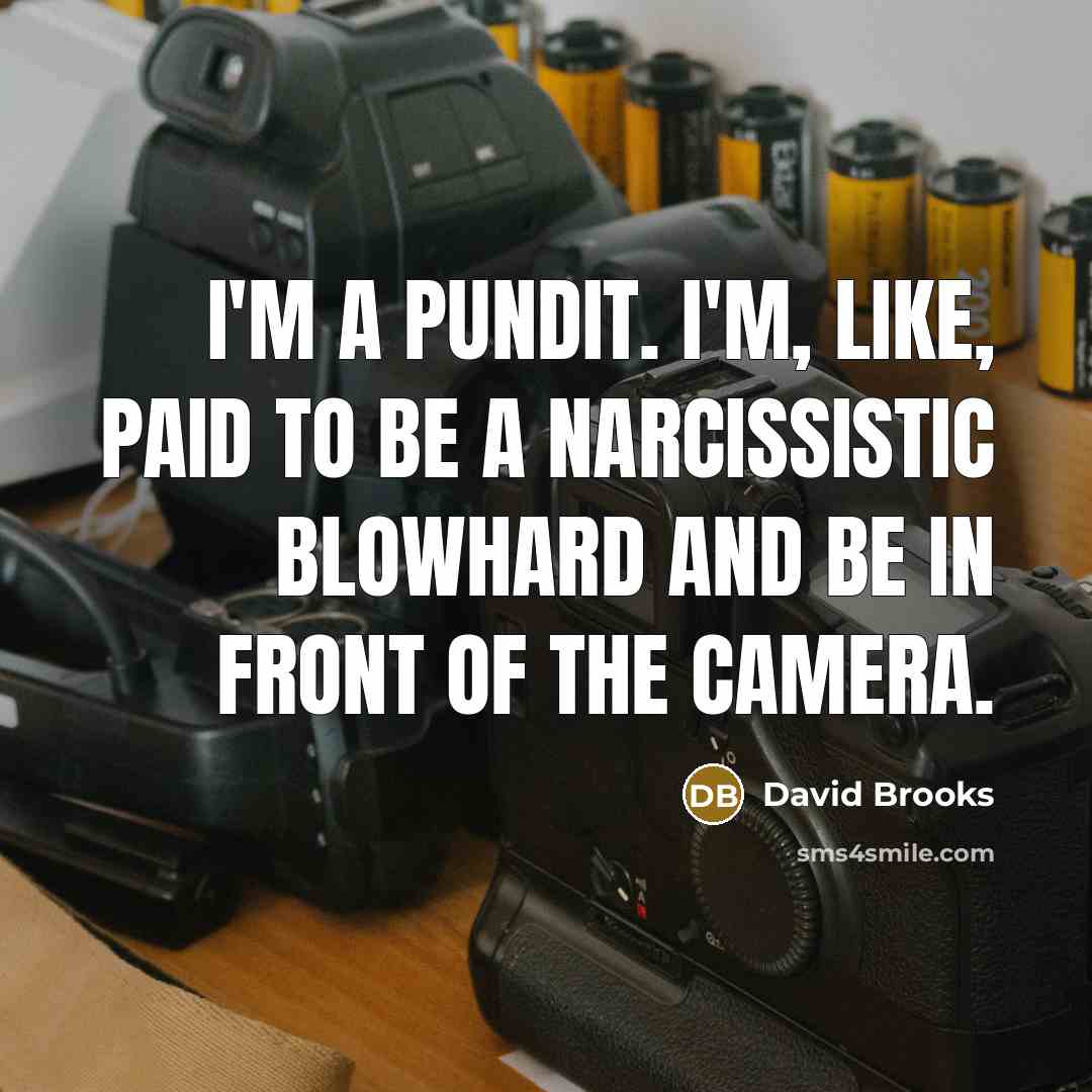 “I'm a pundit. I'm, like, paid to be a narcissistic…” quote by David Brooks