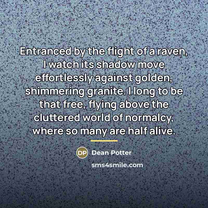 “Entranced by the flight of a raven, I watch its…” quote by Dean Potter