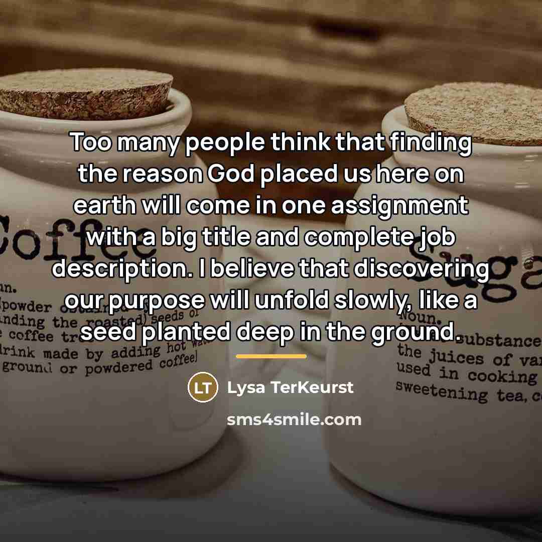 “Too many people think that finding the reason God placed…” quote by Lysa TerKeurst