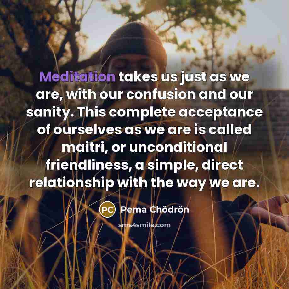 “Meditation takes us just as we are, with our confusion…” quote by Pema Chodron