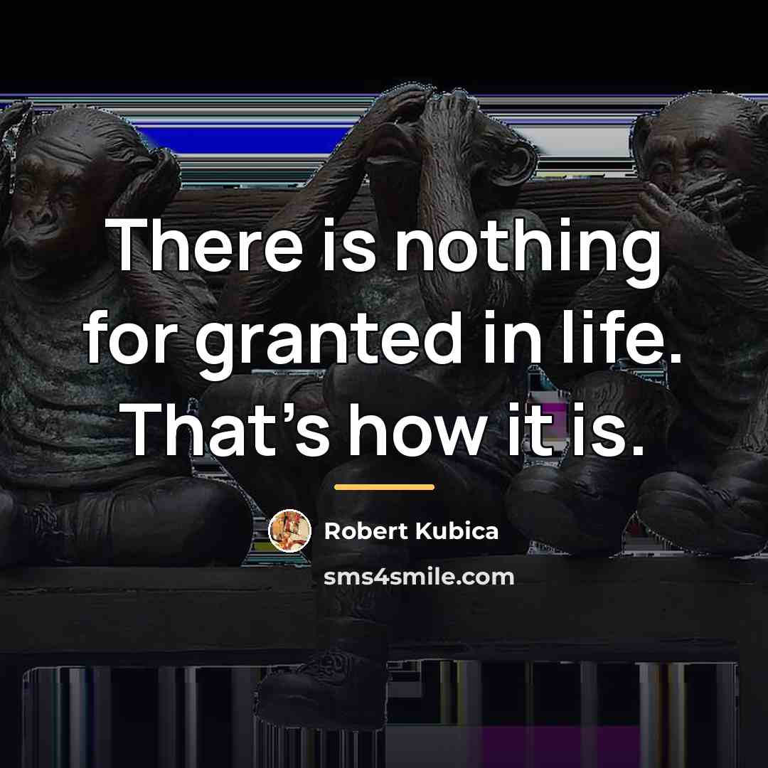 “There is nothing for granted in life. That's how it…” quote by Robert Kubica