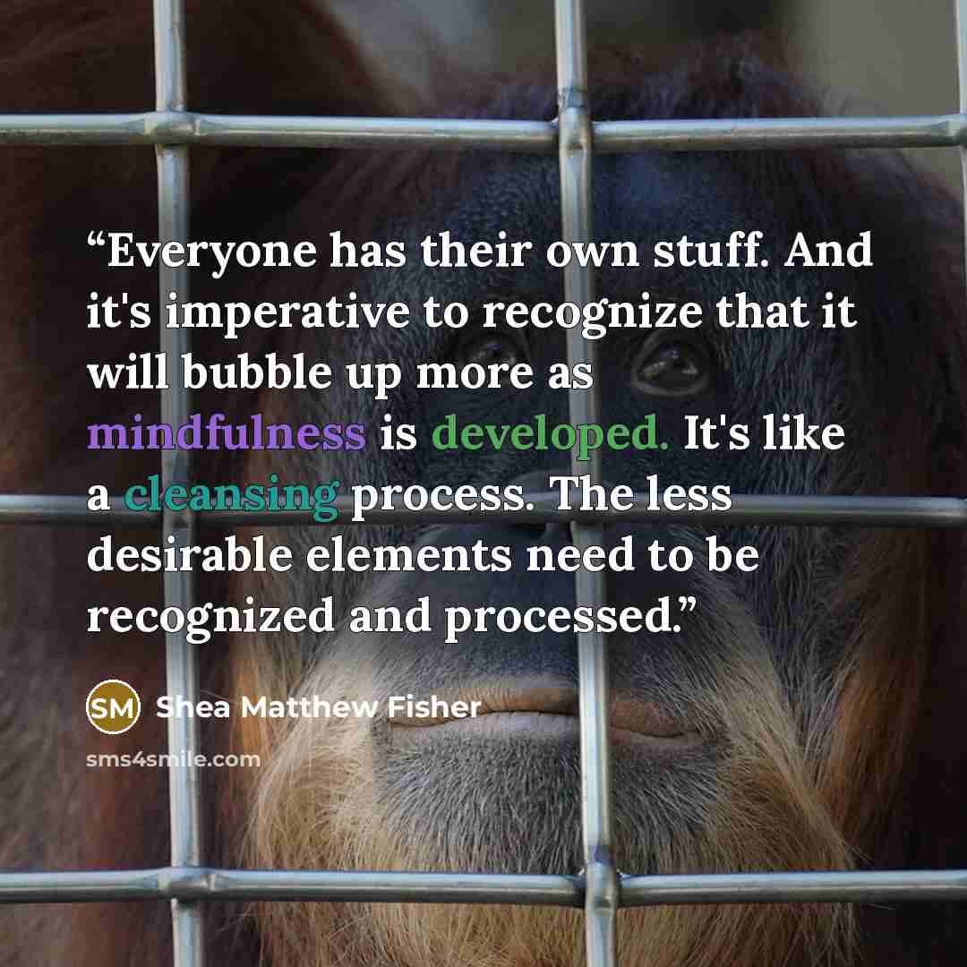 “Everyone has their own stuff. And it's imperative to recognize that it will bubble up more as mindfulness is developed. It's like a cleansing process. The less desirable elements need to be recognized and processed.” quote by Shea Matthew Fisher