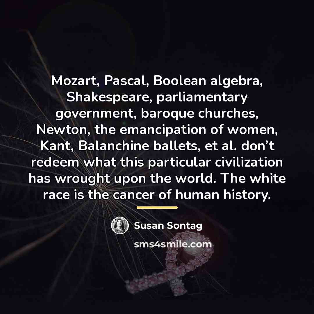 “Mozart, Pascal, Boolean algebra, Shakespeare, parliamentary government, baroque churches, Newton,…” quote by Susan Sontag