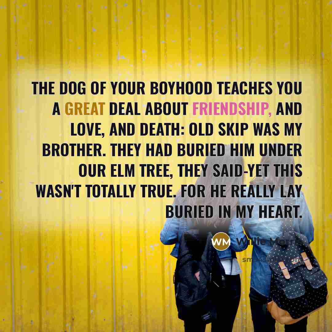 “The dog of your boyhood teaches you a great deal…” quote by Willie Morris