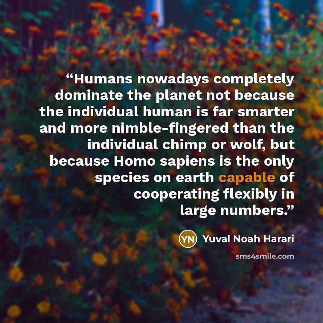 “Humans nowadays completely dominate the planet not because the individual human is far smarter and more nimble-fingered than the individual chimp or wolf, but because Homo sapiens is the only species on earth capable of cooperating flexibly in large numbers.” quote by Yuval Noah Harari