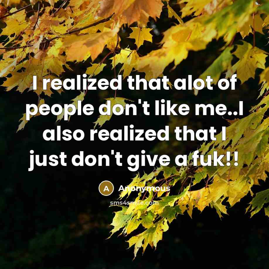 “I realized that alot of people don't like me..I also…” quote by Anonymous
