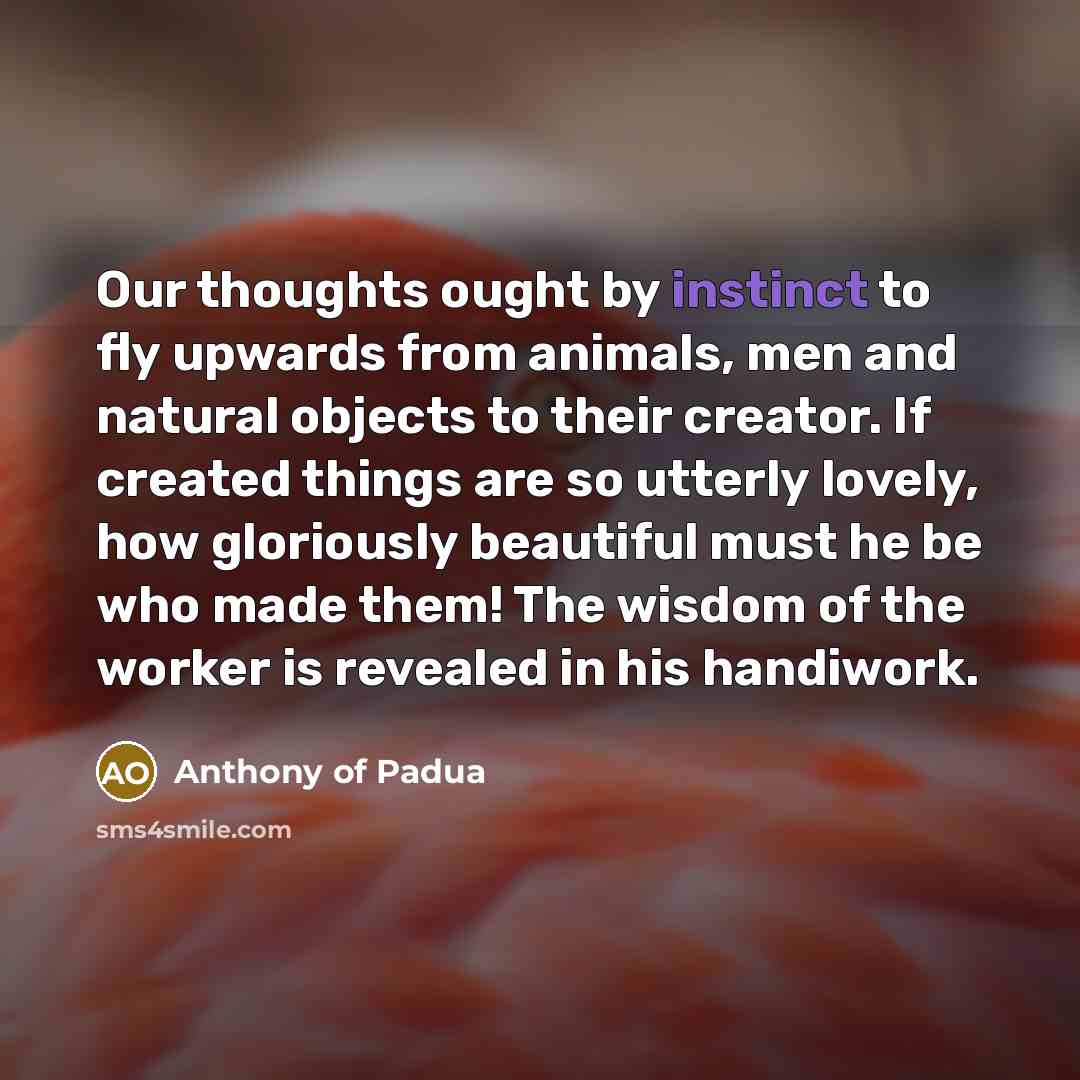 “Our thoughts ought by instinct to fly upwards from animals,…” quote by Anthony of Padua