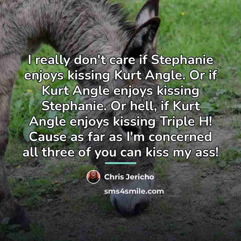 “I really don't care if Stephanie enjoys kissing Kurt Angle.…” quote by Chris Jericho