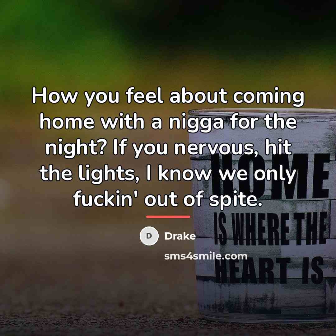 “How you feel about coming home with a nigga for…” quote by Drake