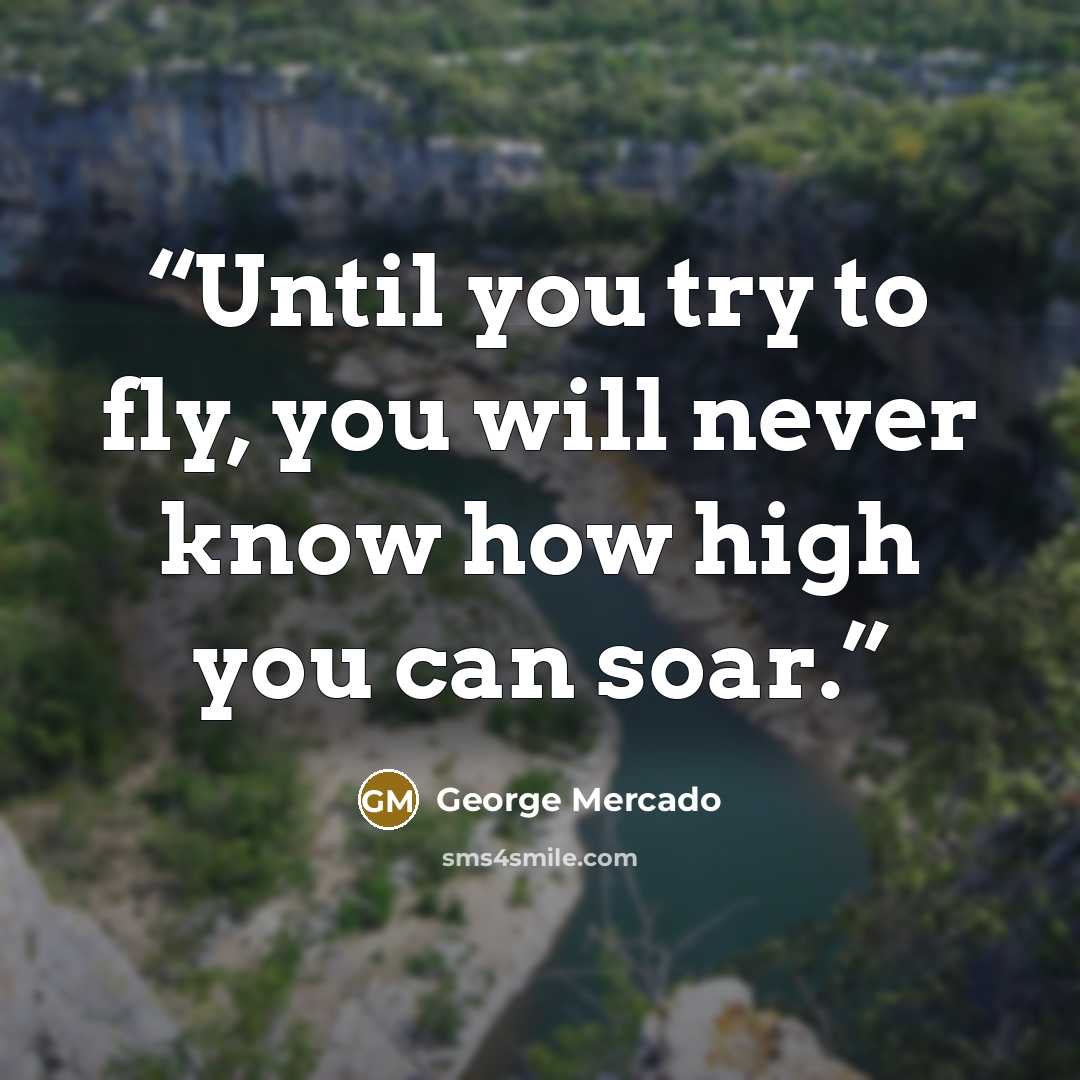 “Until you try to fly, you will never know how high you can soar.” quote by George Mercado