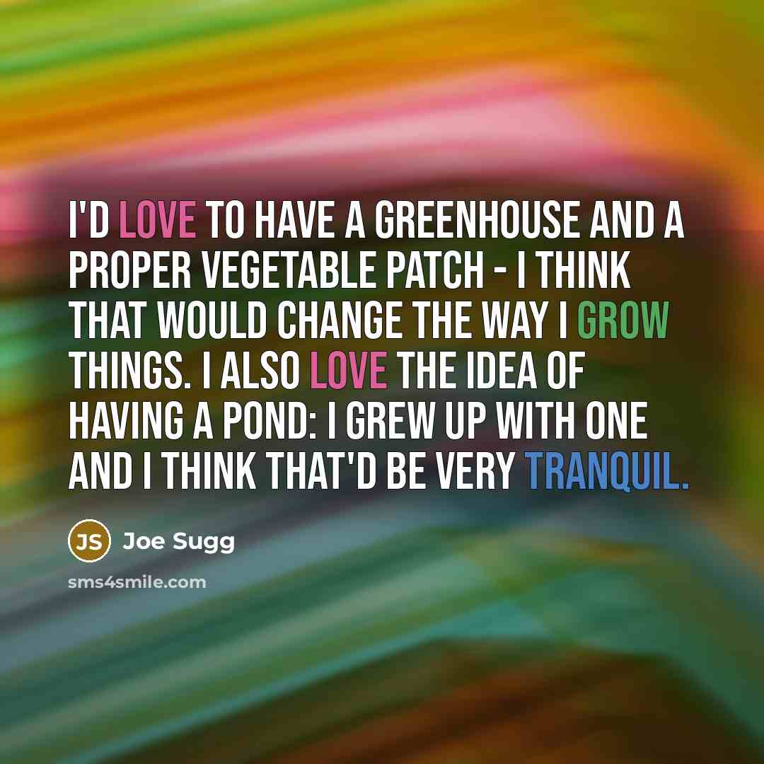 “I'd love to have a greenhouse and a proper vegetable…” quote by Joe Sugg