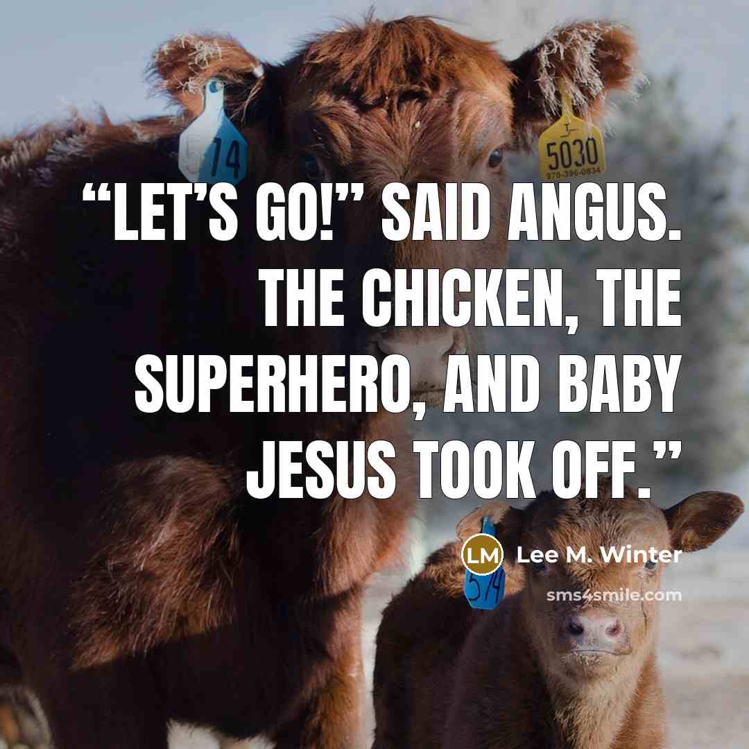 “Let’s go!” said Angus. The chicken, the superhero, and baby Jesus took off.” quote by Lee M. Winter