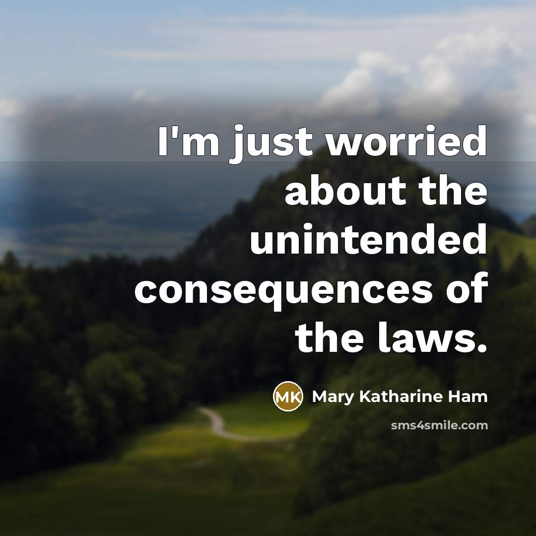 “I'm just worried about the unintended consequences of the laws.…” quote by Mary Katharine Ham