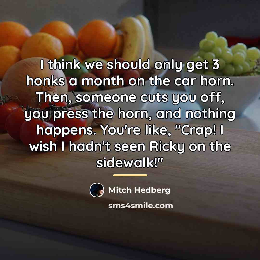 “I think we should only get 3 honks a month…” quote by Mitch Hedberg