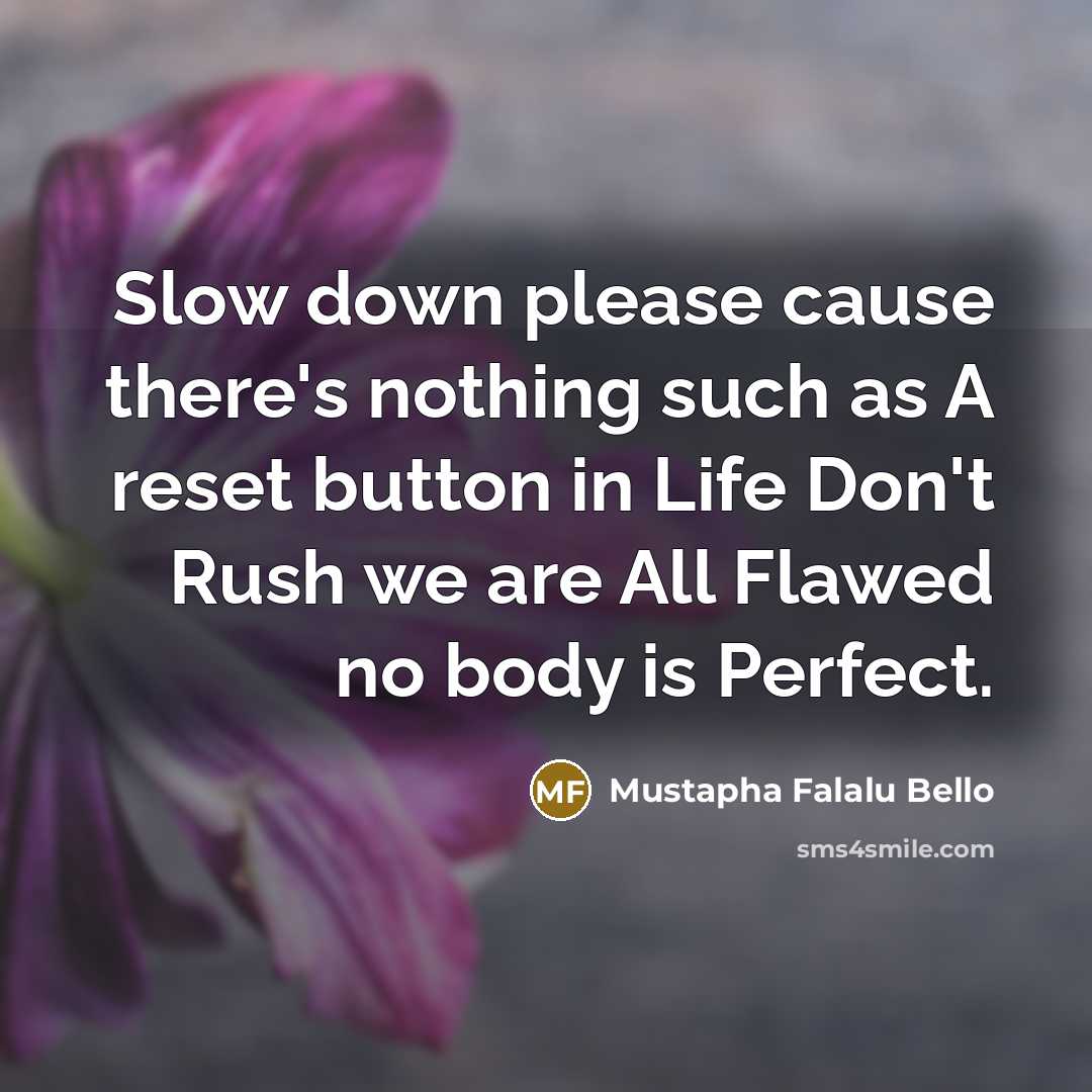 “Slow down please cause there's nothing such as A reset…” quote by Mustapha Falalu Bello