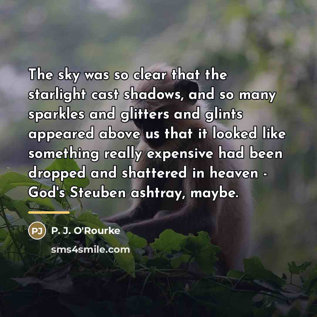 “The sky was so clear that the starlight cast shadows,…” quote by P. J. O'Rourke