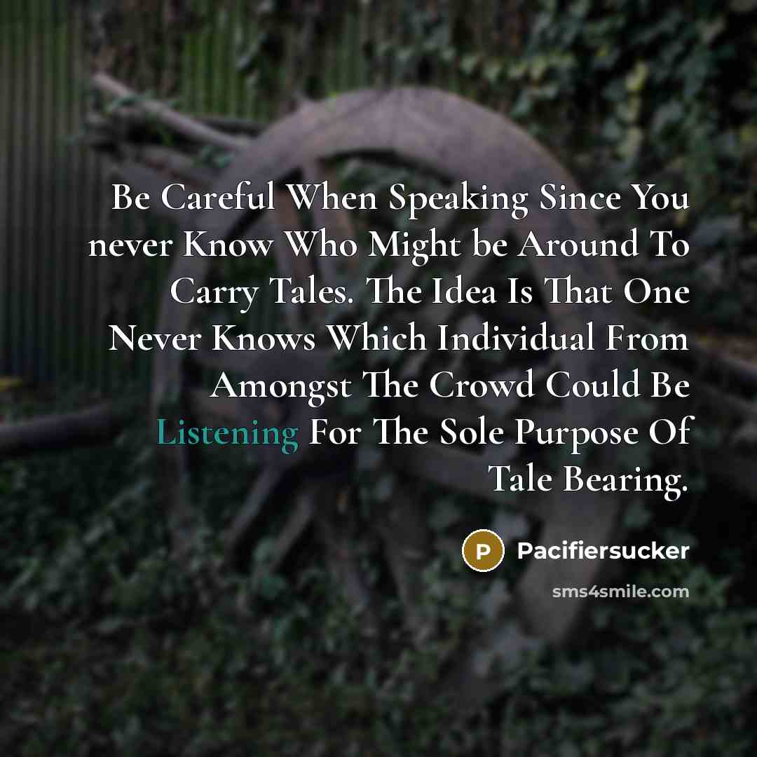 “Be Careful When Speaking Since You never Know Who Might…” quote by Pacifiersucker