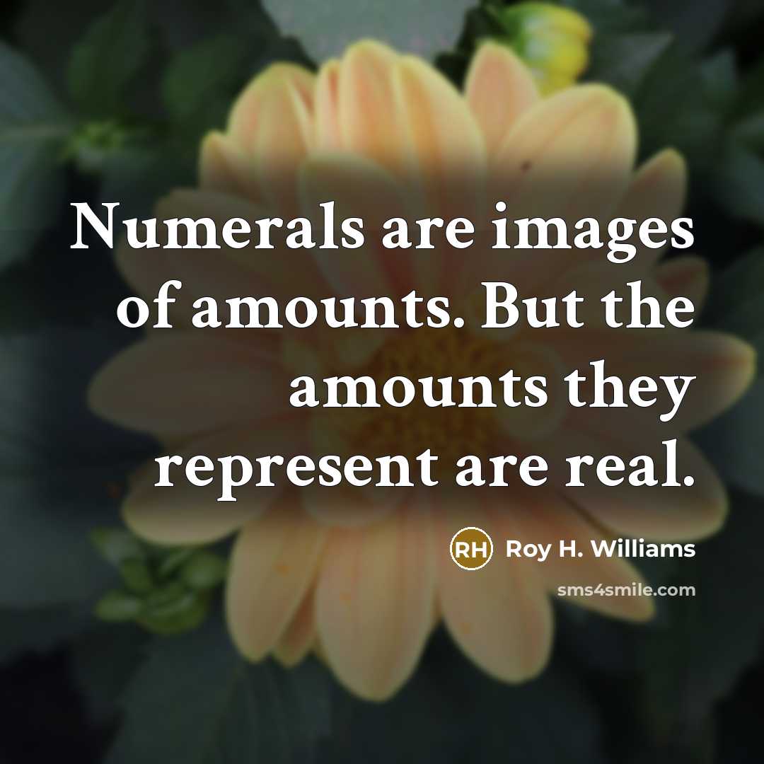 “Numerals are images of amounts. But the amounts they represent…” quote by Roy H. Williams