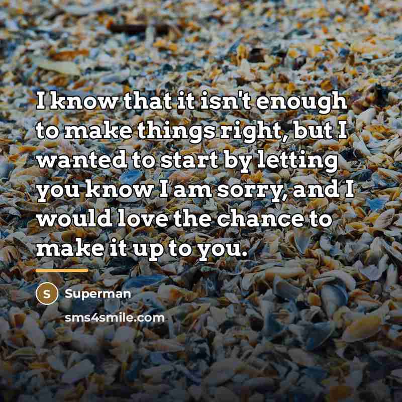 “I know that it isn't enough to make things right,…” quote by Superman