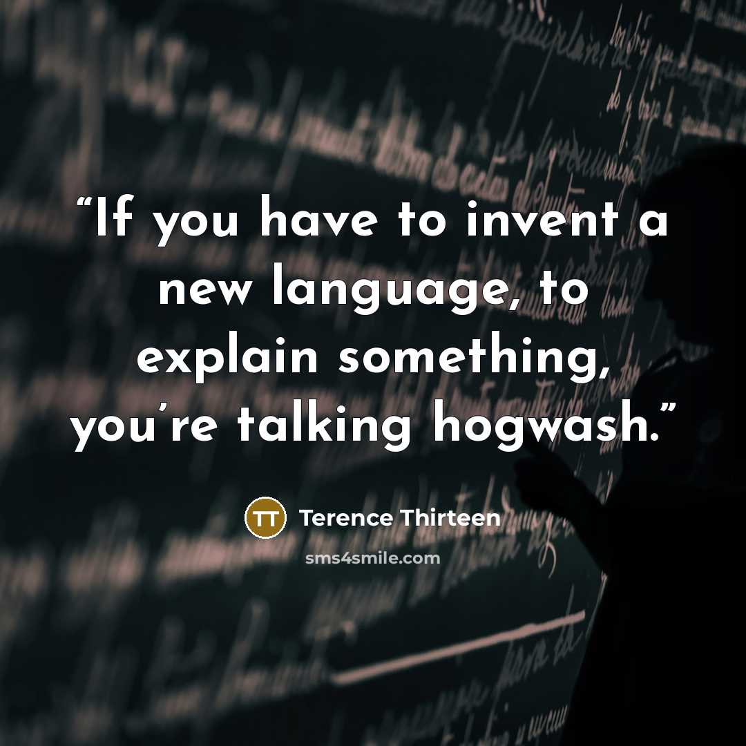 “If you have to invent a new language, to explain something, you’re talking hogwash.” quote by Terence Thirteen