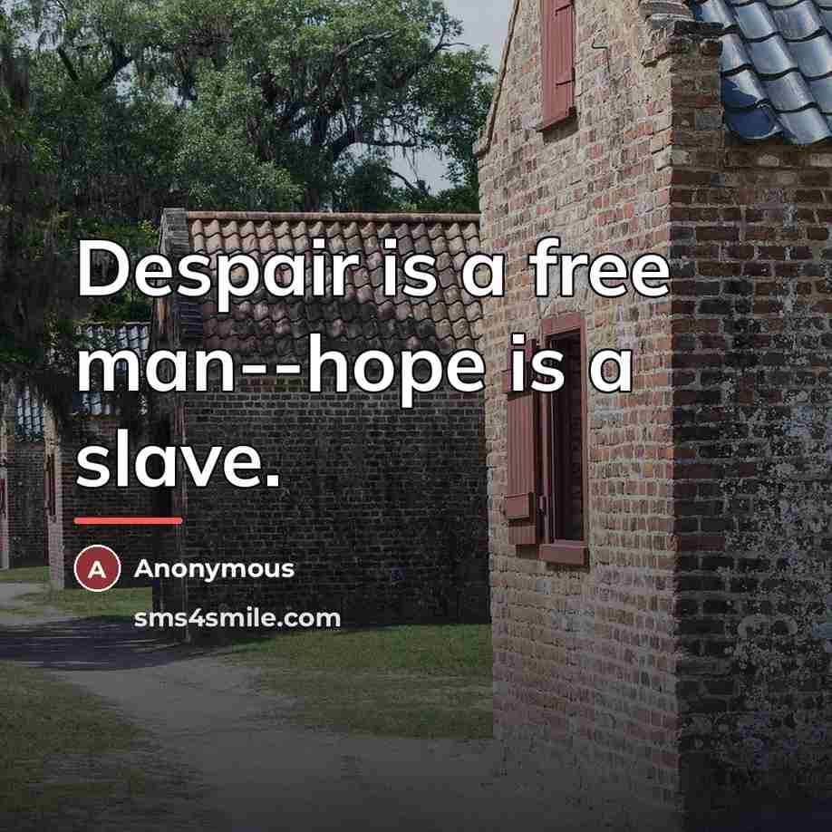 “Despair is a free man--hope is a slave.…” quote by Anonymous