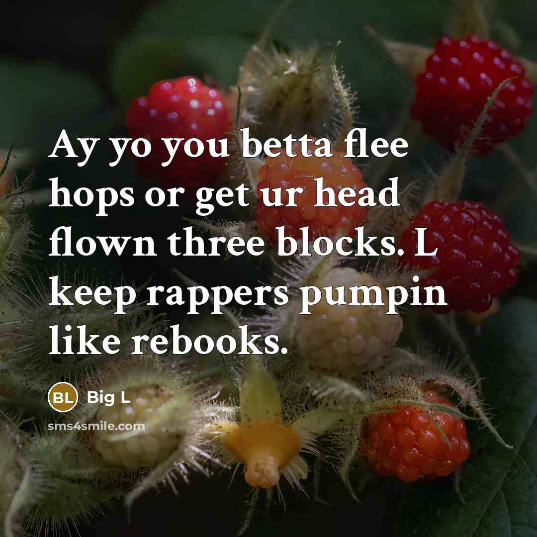 “Ay yo you betta flee hops or get ur head…” quote by Big L
