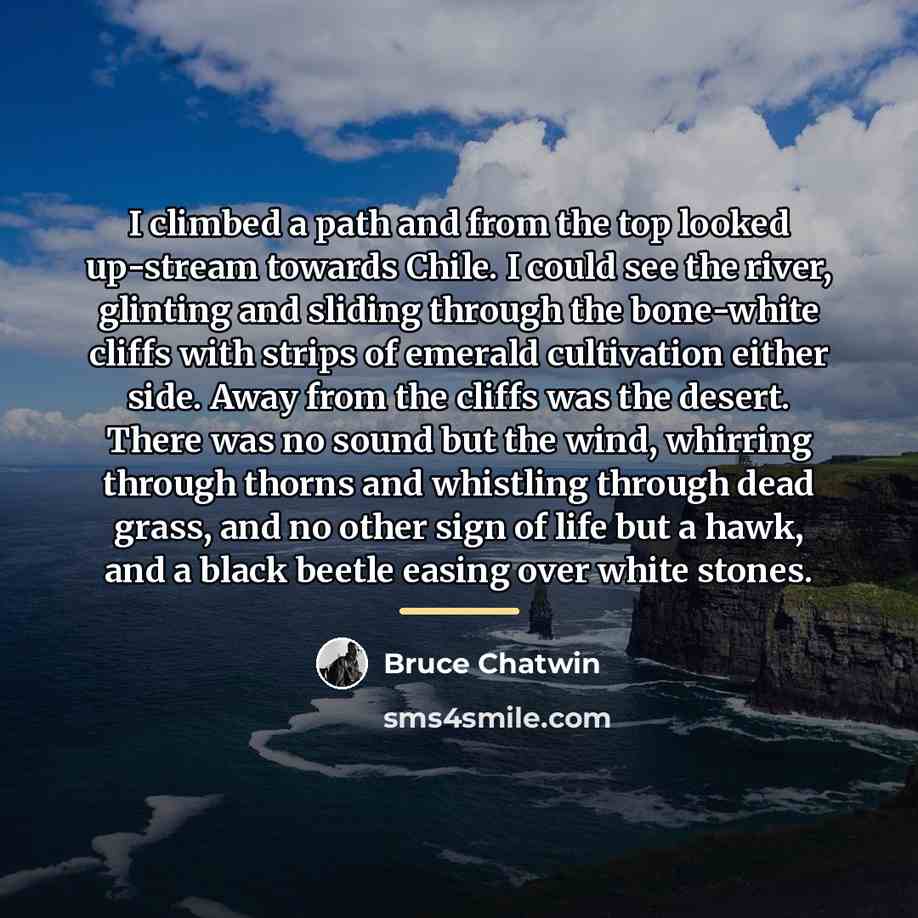 “I climbed a path and from the top looked up-stream…” quote by Bruce Chatwin