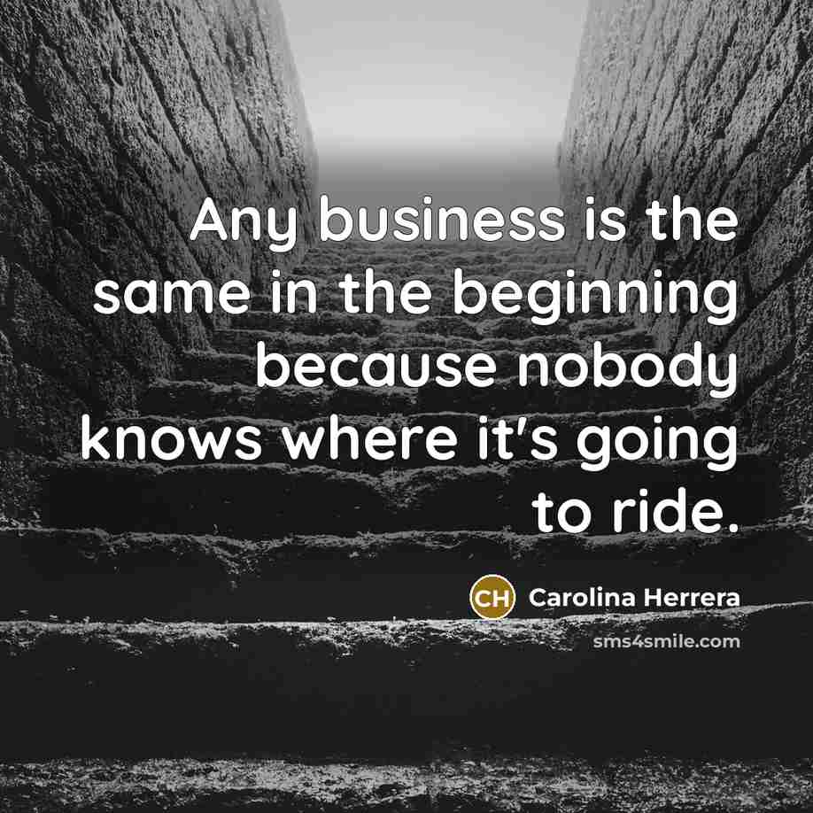 “Any business is the same in the beginning because nobody knows where it's going to ride.” quote by Carolina Herrera