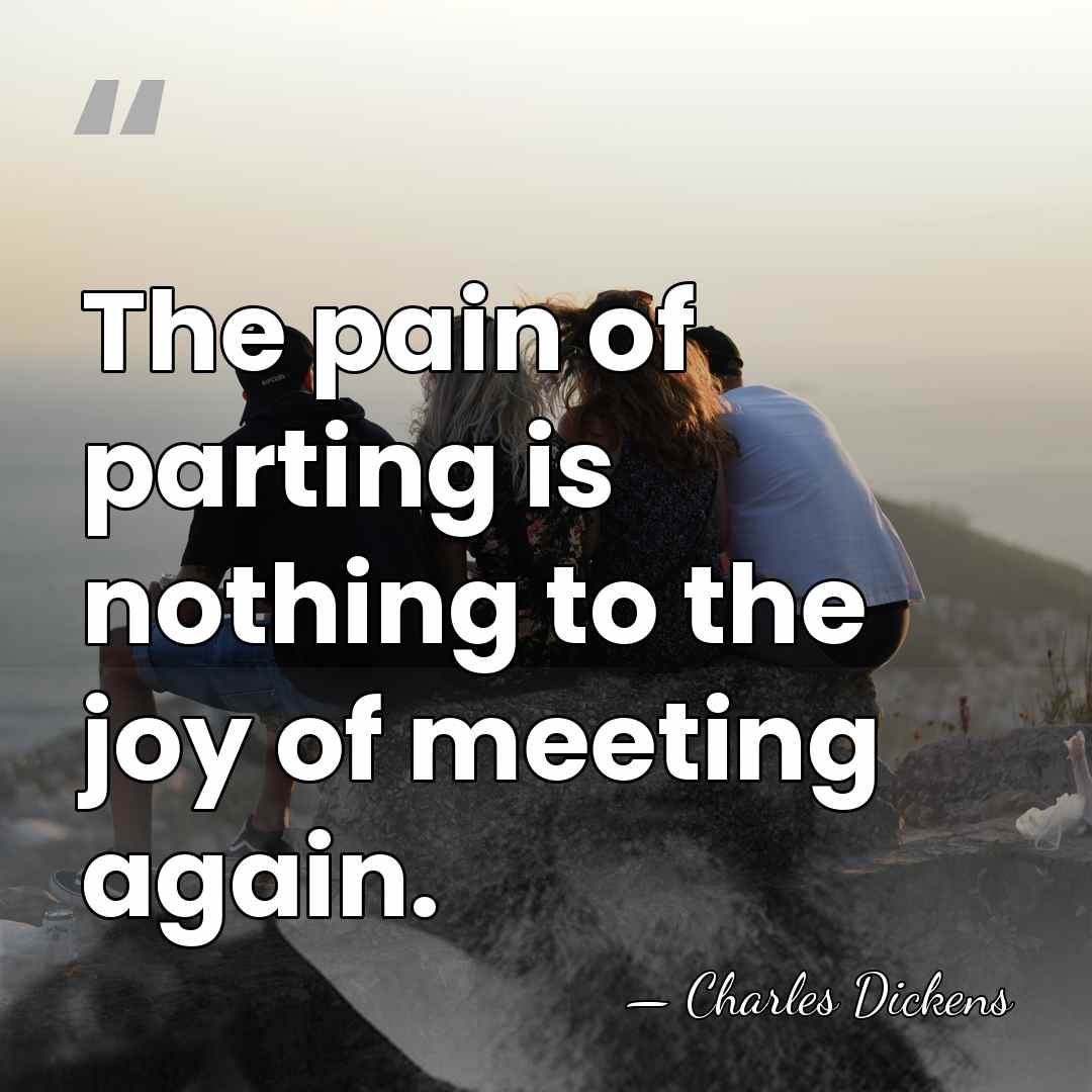 The pain of parting is nothing to the joy of meeting again. - Charles Dickens