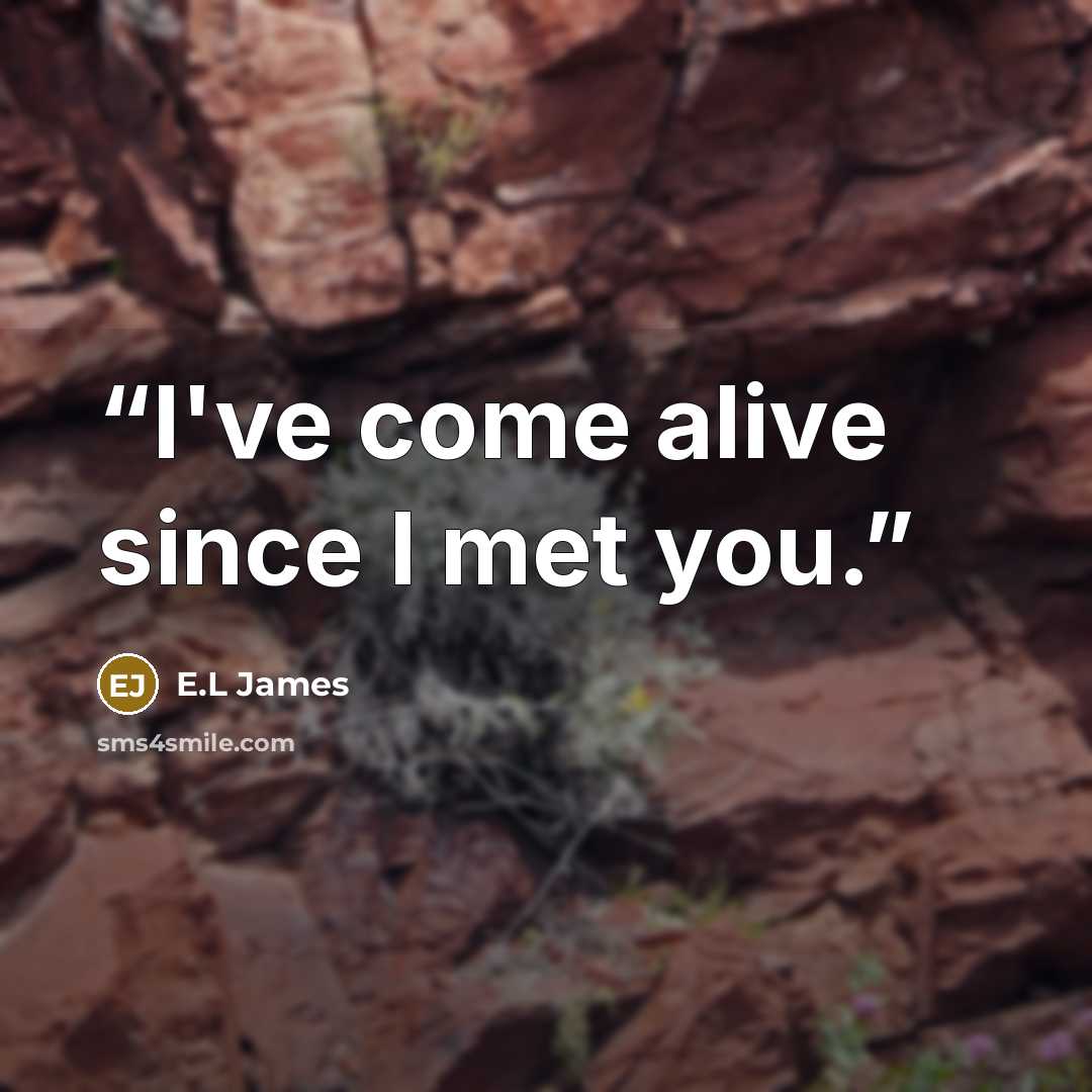 “I've come alive since I met you.” quote by E.L James
