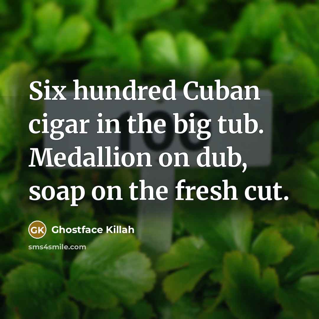 “Six hundred Cuban cigar in the big tub. Medallion on…” quote by Ghostface Killah