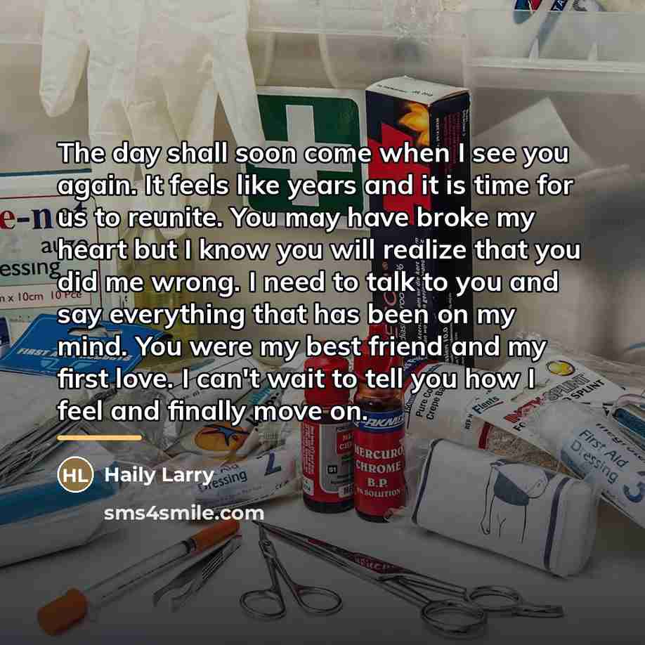 “The day shall soon come when I see you again.…” quote by Haily Larry