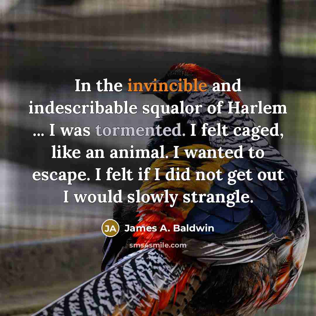 “In the invincible and indescribable squalor of Harlem ... I…” quote by James A. Baldwin
