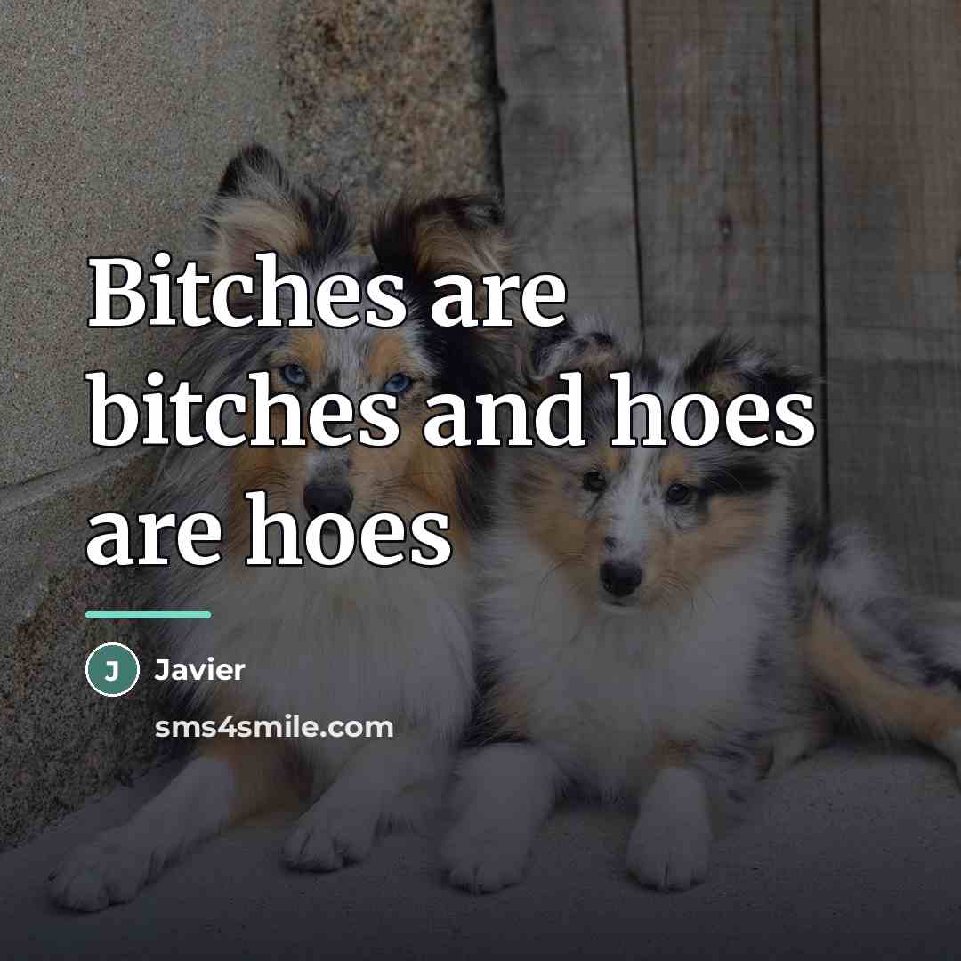 “Bitches are bitches and hoes are hoes…” quote by Javier