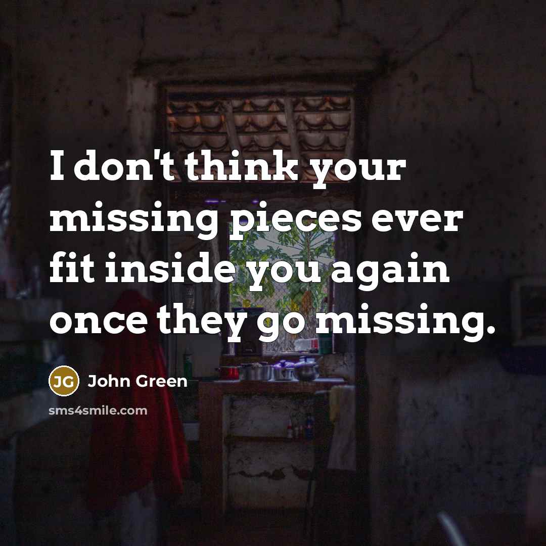 “I don't think your missing pieces ever fit inside you…” quote by John Green