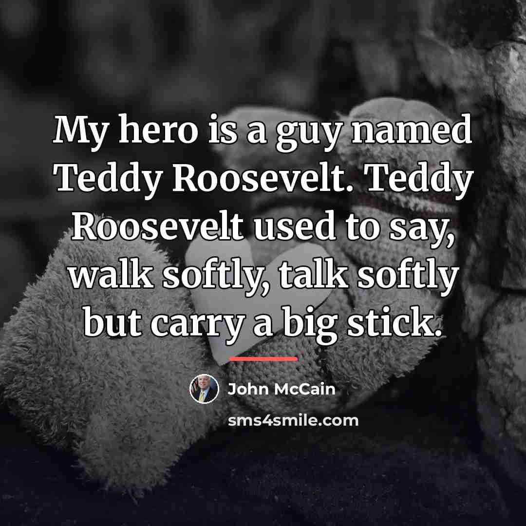 “My hero is a guy named Teddy Roosevelt. Teddy Roosevelt…” quote by John McCain